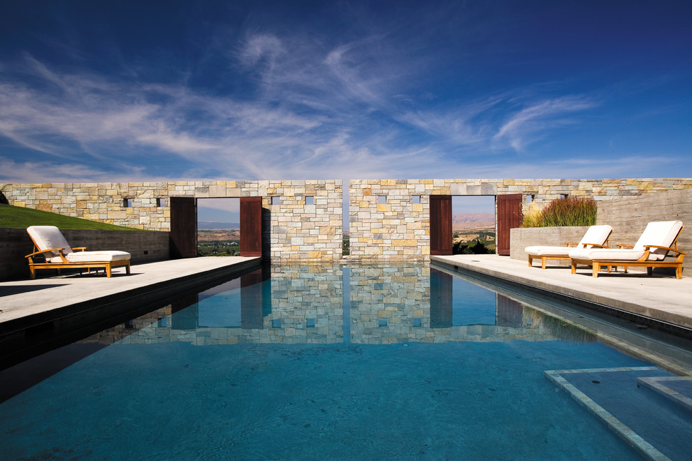 Свежая идея для дизайна: большой прямоугольный бассейн в современном стиле - отличное фото интерьера