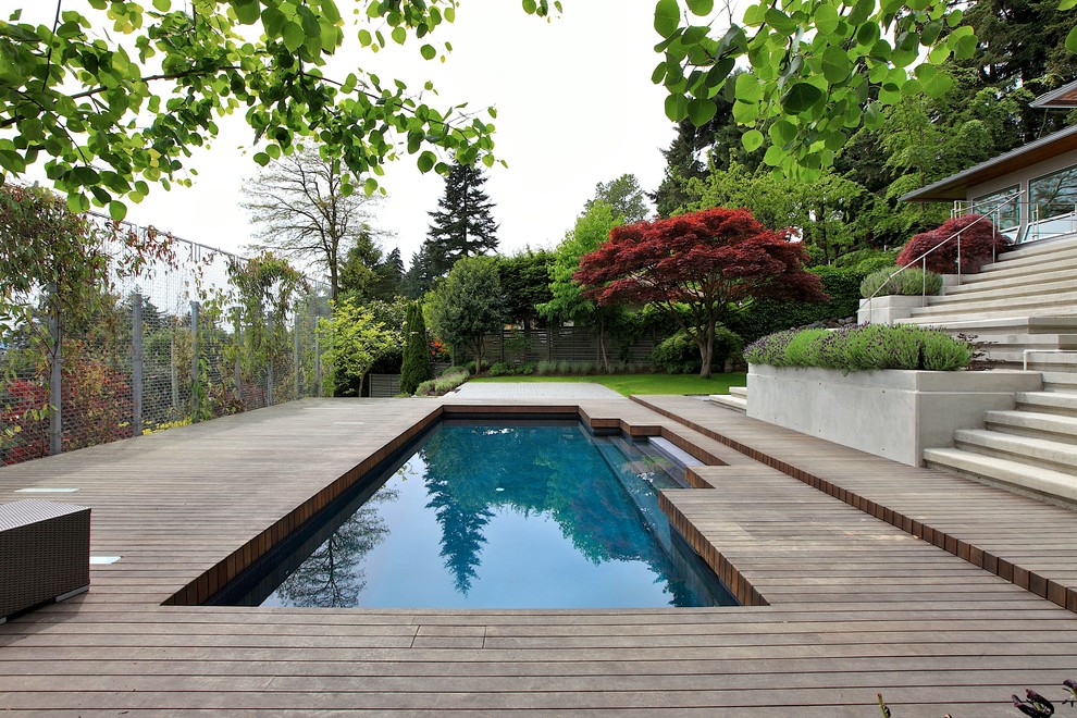 Foto de piscina alargada minimalista pequeña rectangular en patio trasero con losas de hormigón