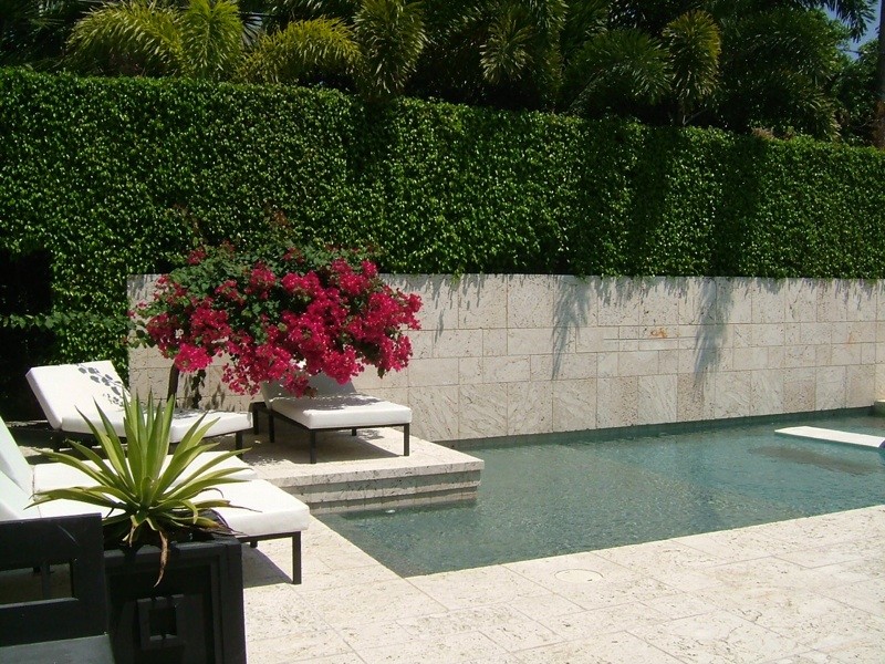 Immagine di una piscina design personalizzata di medie dimensioni e dietro casa con piastrelle