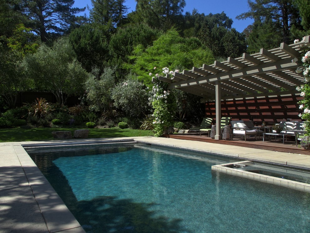 This is an example of a contemporary swimming pool in San Francisco.