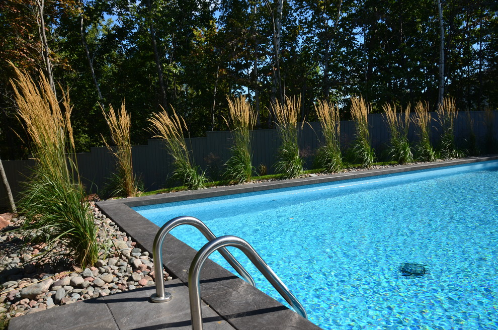 Idée de décoration pour une piscine arrière design de taille moyenne et rectangle avec du béton estampé.