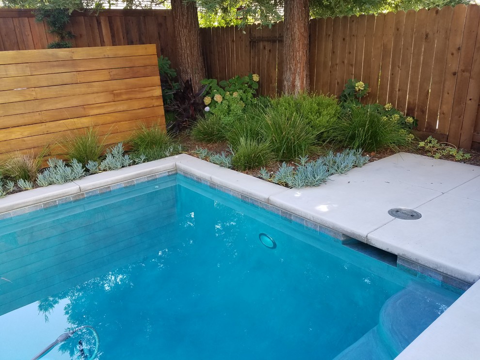 Aménagement d'une petite piscine arrière contemporaine sur mesure avec un bain bouillonnant et une terrasse en bois.