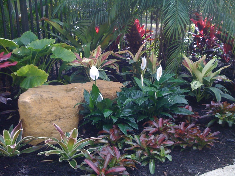 Photo of a small tropical backyard landscaping in Miami.