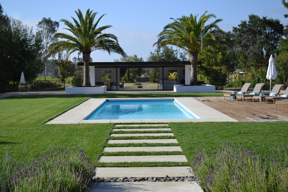 Idee per una piscina minimalista con pedane e una dépendance a bordo piscina