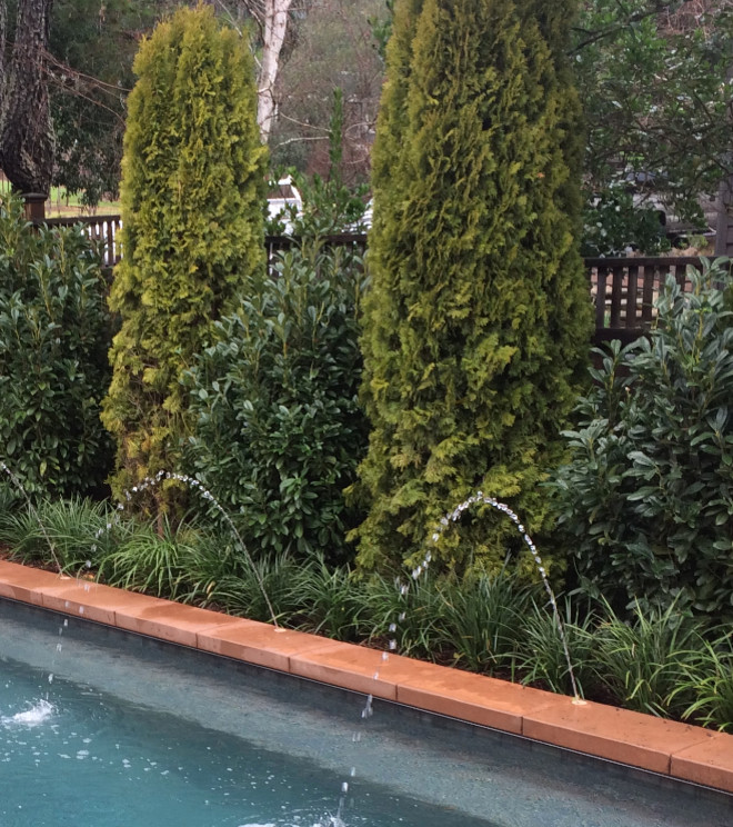 Ejemplo de piscina con fuente alargada tradicional de tamaño medio rectangular en patio trasero con losas de hormigón