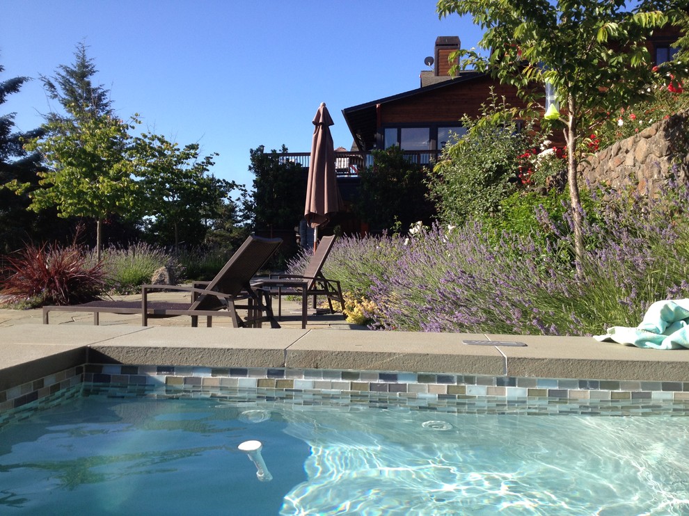 Foto de piscina alargada actual de tamaño medio rectangular en patio trasero con losas de hormigón