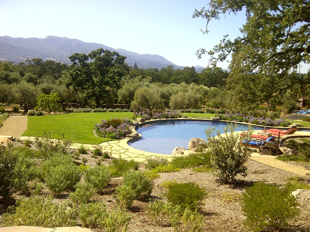 Large mediterranean back custom shaped natural swimming pool in San Francisco with natural stone paving.