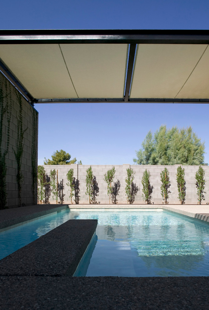 Diseño de piscinas y jacuzzis alargados minimalistas de tamaño medio rectangulares en patio con losas de hormigón