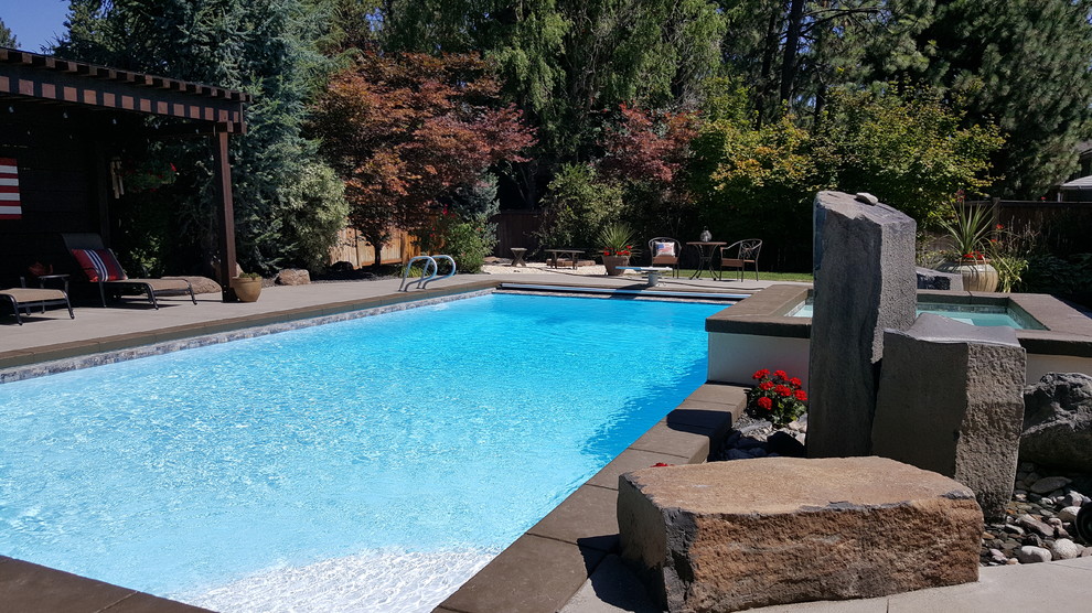 Ejemplo de piscina natural moderna grande rectangular en patio trasero con losas de hormigón