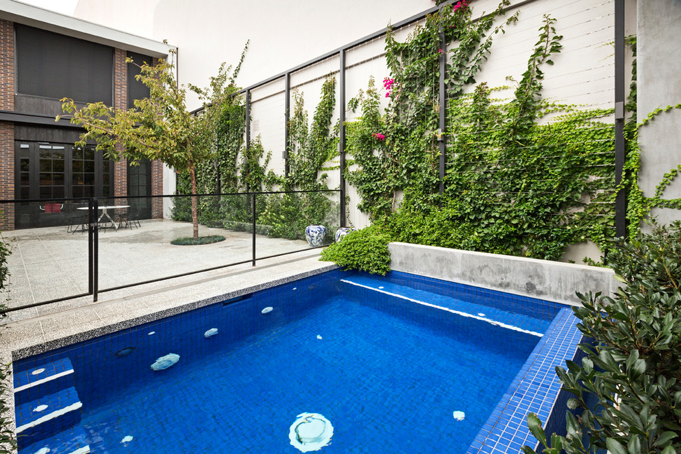 На фото: маленький прямоугольный бассейн на внутреннем дворе в стиле модернизм для на участке и в саду с