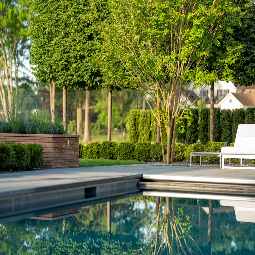 Foto di una grande piscina monocorsia moderna rettangolare dietro casa con paesaggistica bordo piscina