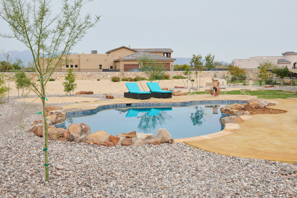 Immagine di una grande piscina naturale american style personalizzata dietro casa con paesaggistica bordo piscina e lastre di cemento