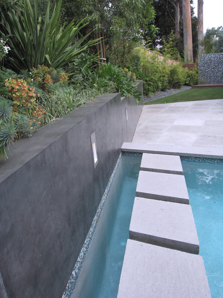 Photo of a modern swimming pool in San Francisco.