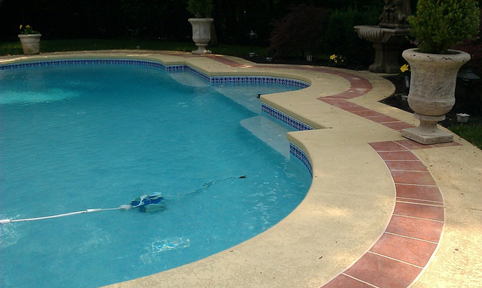 Imagen de piscina natural tradicional de tamaño medio a medida en patio trasero con adoquines de hormigón