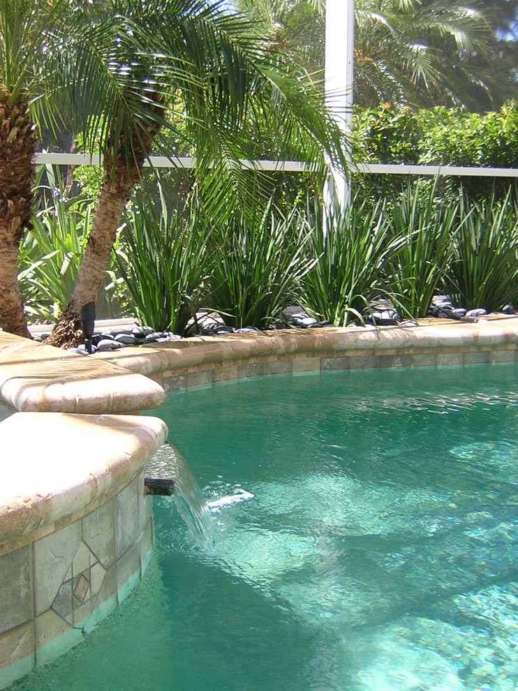 St Petersburg, Florida Kitchen Tropical Pool Spa Tropical Pool