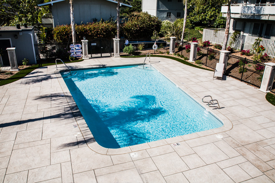 Imagen de piscina natural moderna grande rectangular en patio con suelo de hormigón estampado