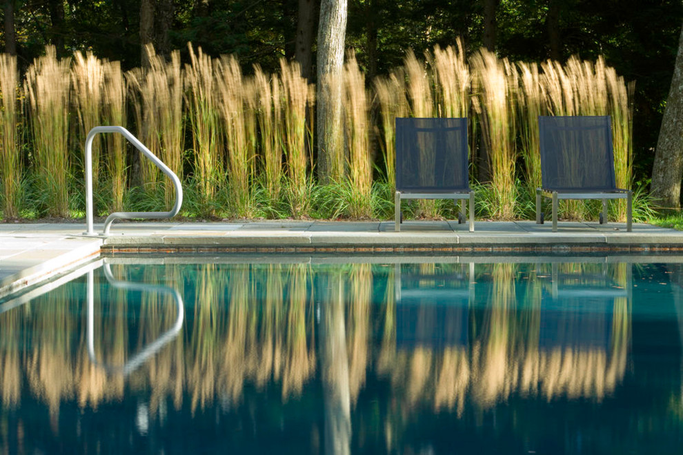 Inspiration for a large modern backyard stone and rectangular lap pool remodel in Burlington