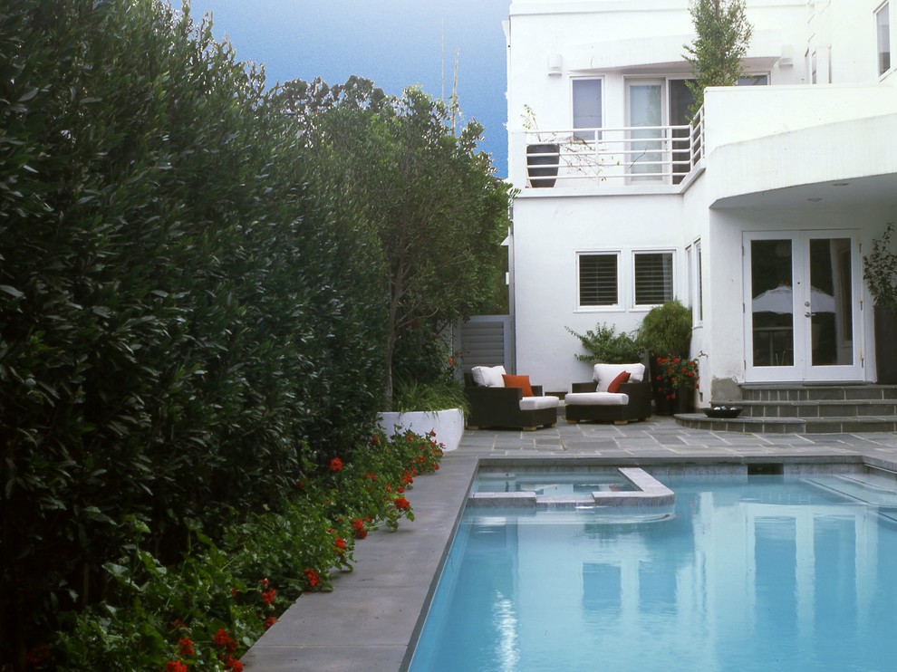 Diseño de piscina moderna en patio trasero con adoquines de piedra natural