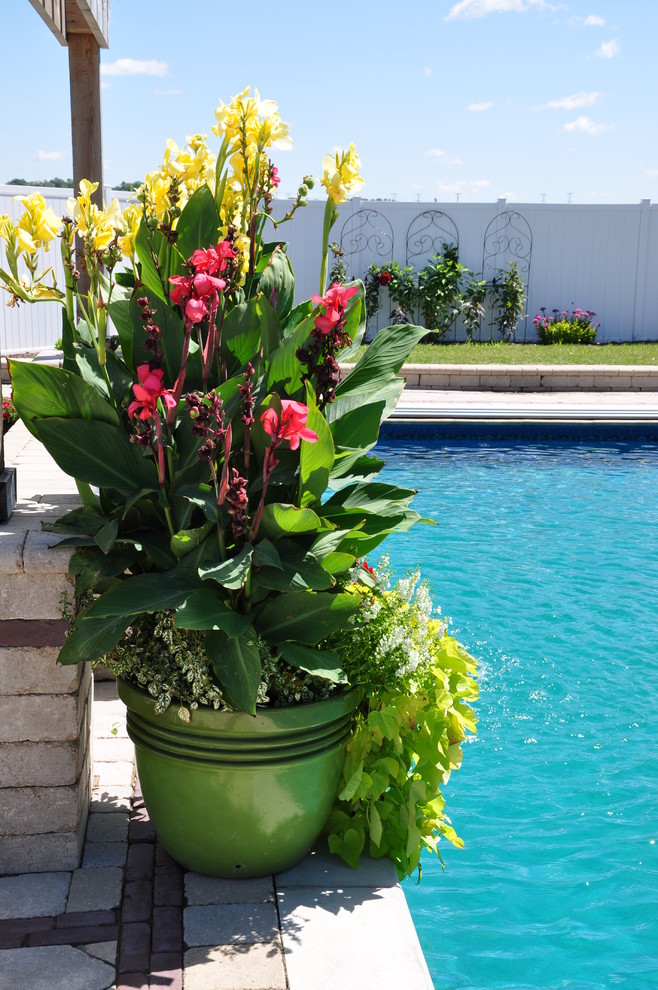 Ejemplo de piscina con fuente tropical extra grande rectangular en patio trasero con adoquines de ladrillo