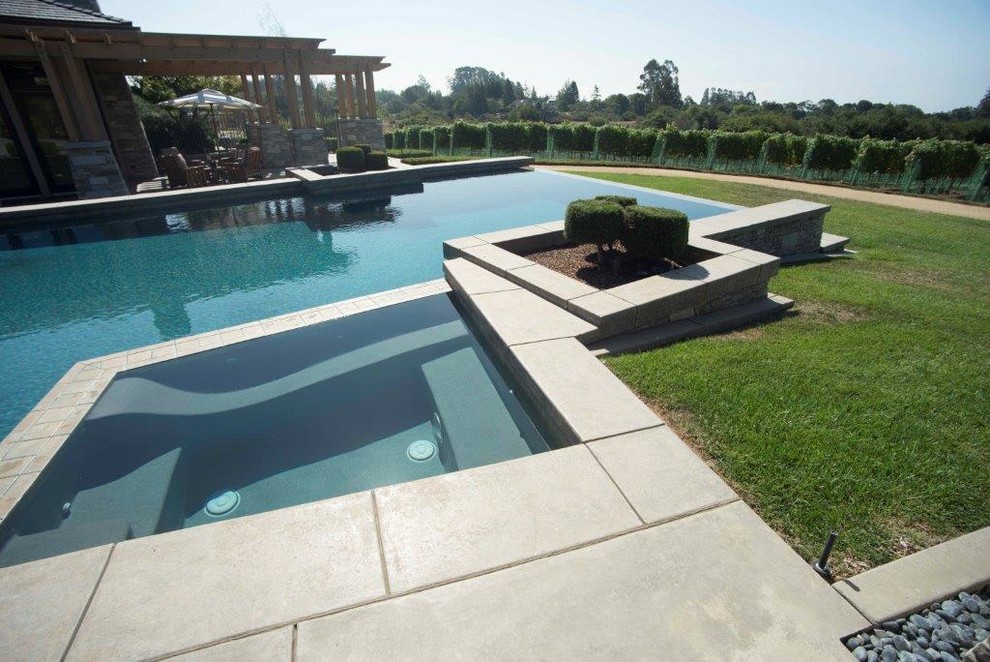 This is an example of a large modern back custom shaped natural swimming pool in San Francisco with a water feature and concrete paving.