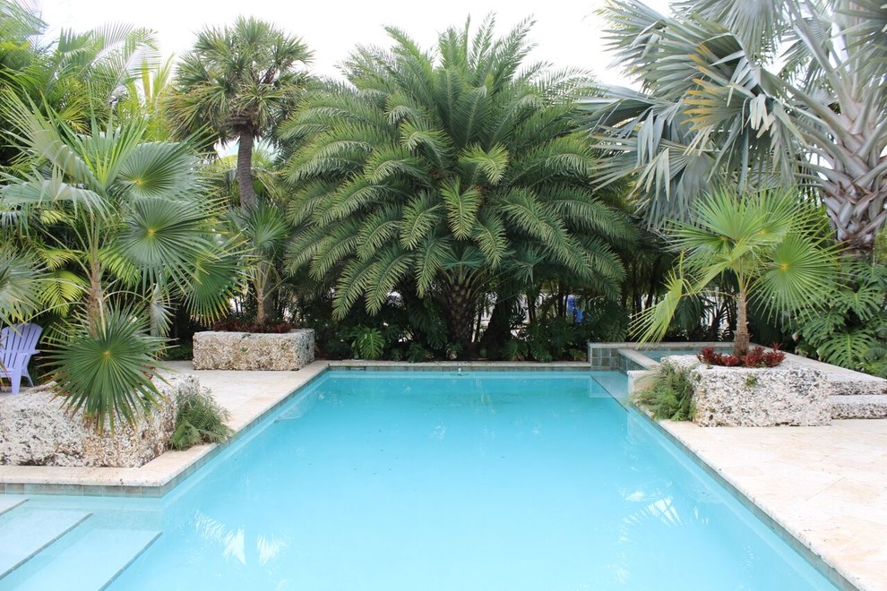 マイアミにある高級な広いトロピカルスタイルのおしゃれな裏庭プール (天然石敷き) の写真
