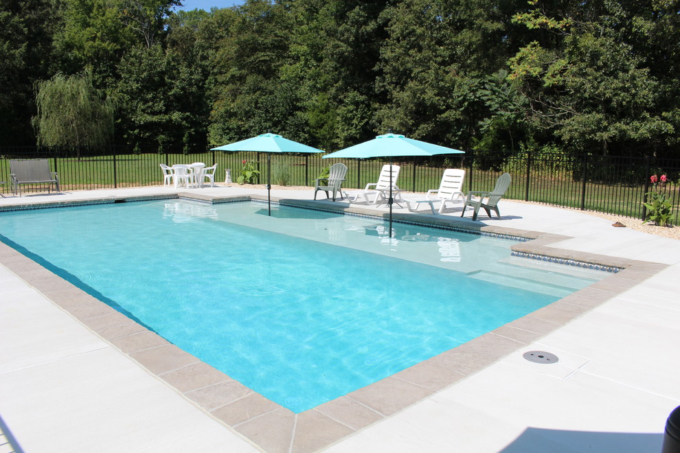 Large contemporary back rectangular natural swimming pool in DC Metro with concrete slabs.