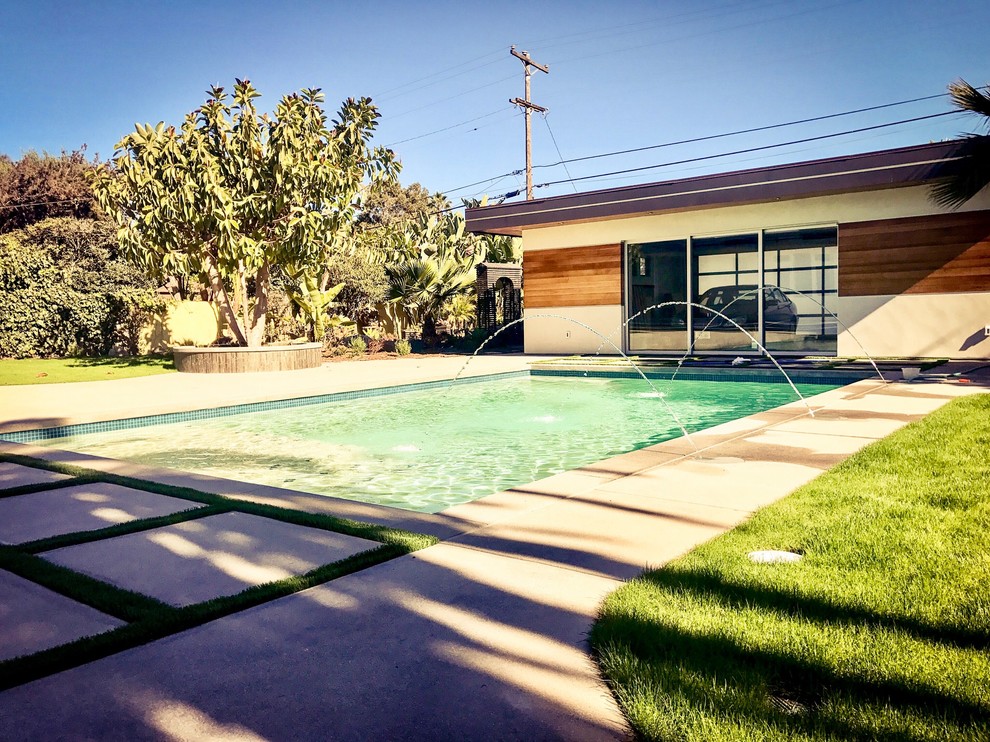Immagine di una grande piscina monocorsia design rettangolare dietro casa con paesaggistica bordo piscina e lastre di cemento
