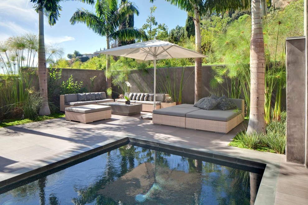 Immagine di una piscina design rettangolare di medie dimensioni e dietro casa