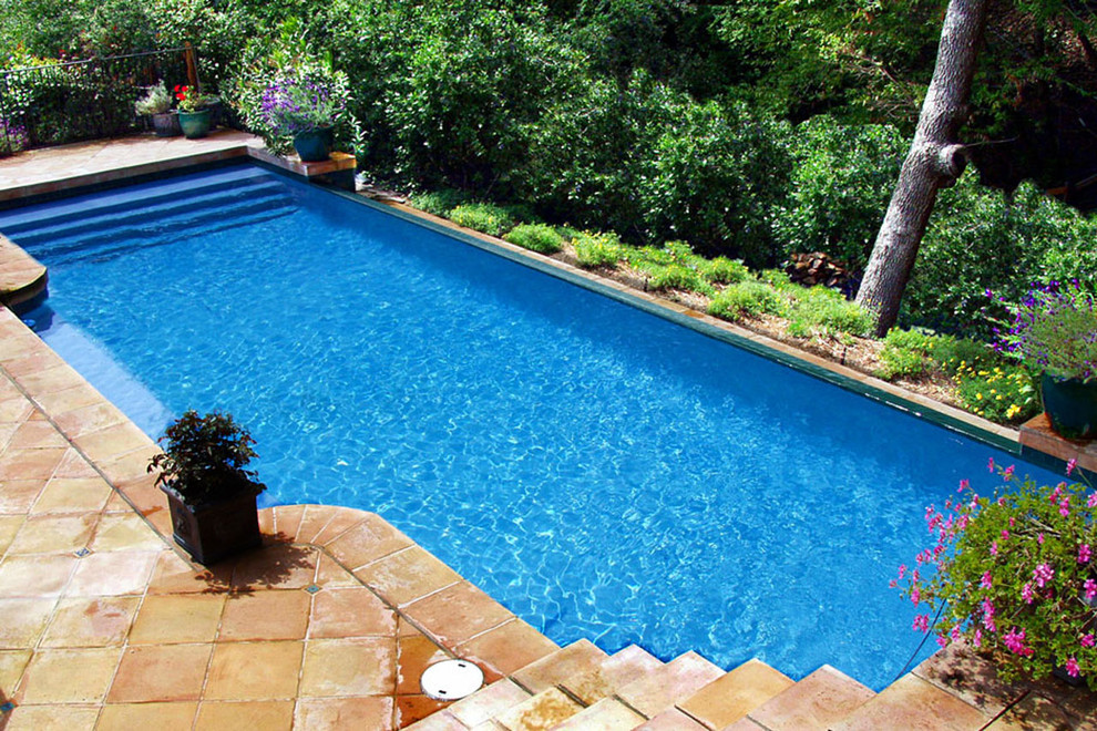 Immagine di una grande piscina monocorsia classica rettangolare dietro casa con pavimentazioni in pietra naturale