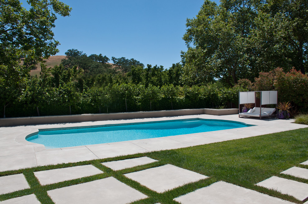 Immagine di una grande piscina monocorsia moderna personalizzata dietro casa con pavimentazioni in cemento