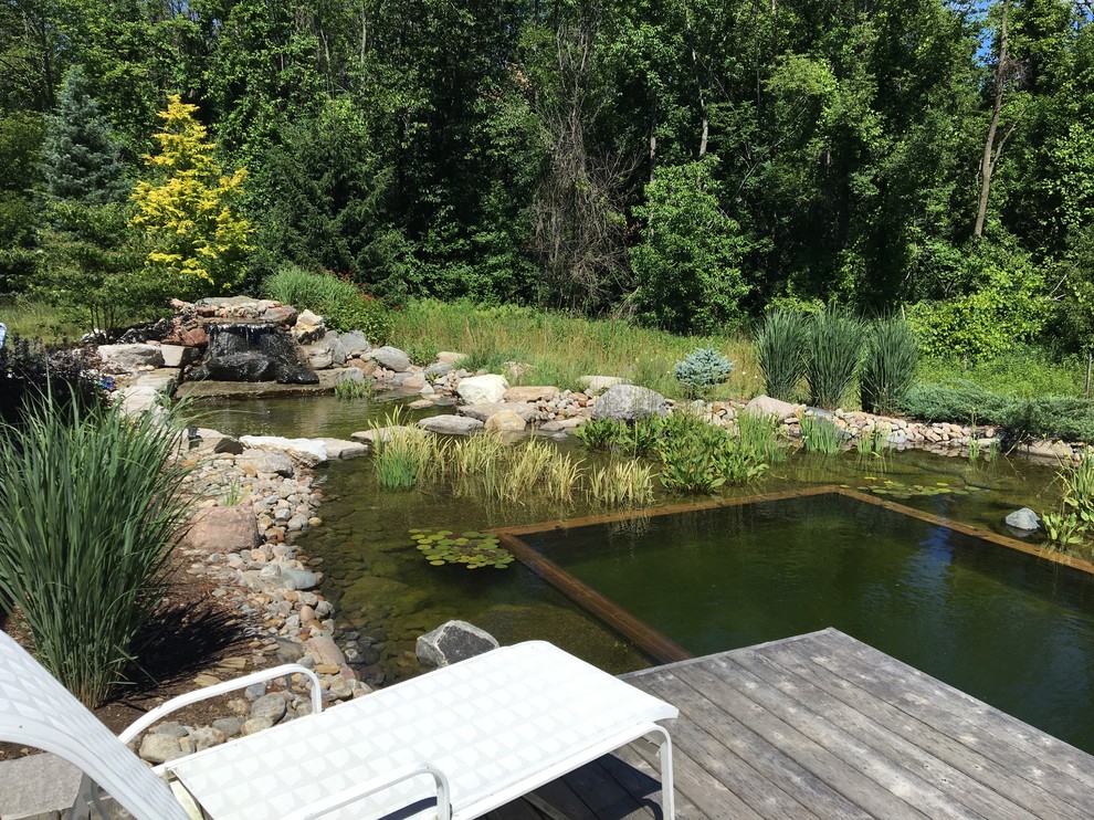 Esempio di una piccola piscina naturale stile rurale personalizzata dietro casa con pedane