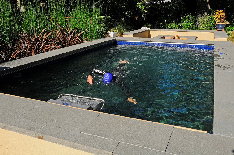 Pool - contemporary pool idea in San Francisco