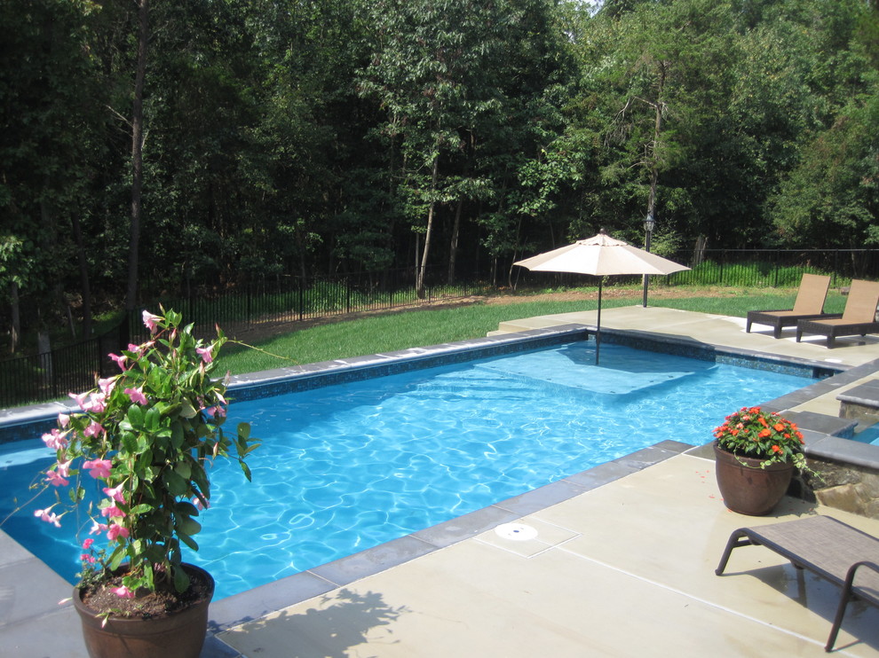 Imagen de piscinas y jacuzzis naturales tradicionales de tamaño medio rectangulares en patio trasero con losas de hormigón