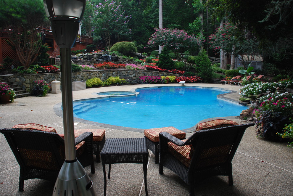 Inspiration for a tropical pool remodel in DC Metro