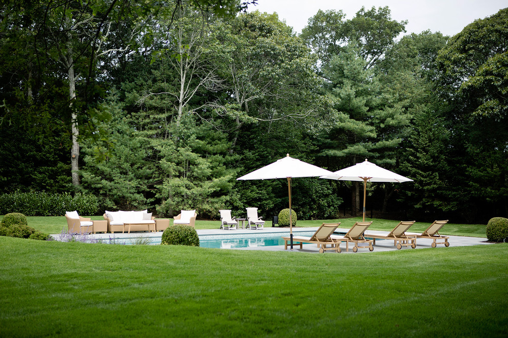 Large backyard stone and rectangular lap pool photo in New York