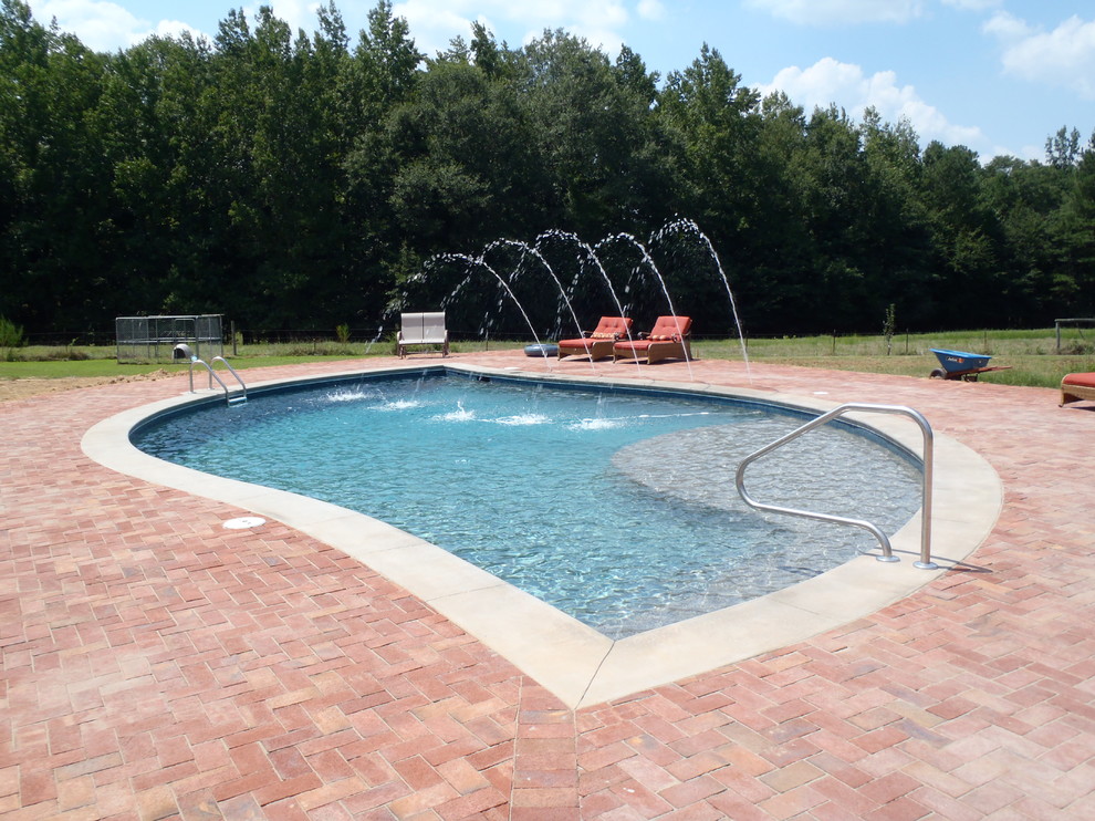 Réalisation d'une piscine naturelle et arrière de taille moyenne et sur mesure avec des pavés en brique.