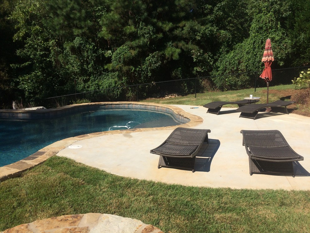 Immagine di una piscina naturale stile americano personalizzata di medie dimensioni e dietro casa con pedane