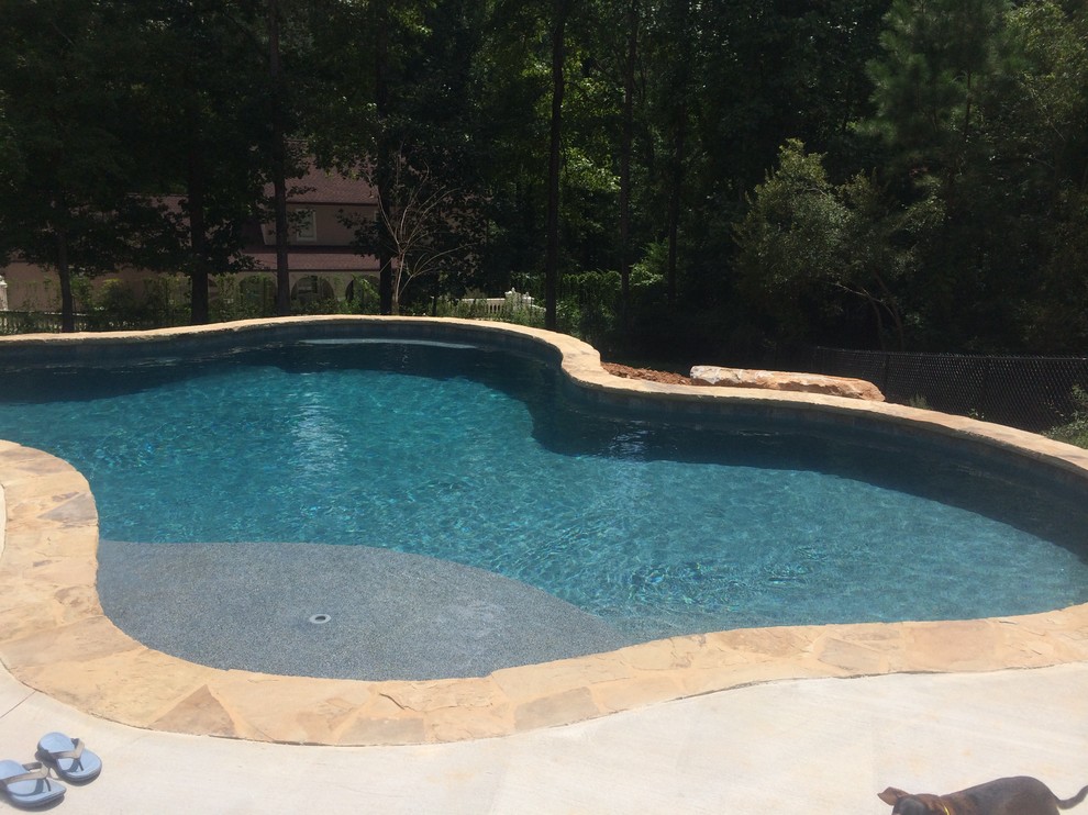 Idee per una piscina naturale stile americano personalizzata di medie dimensioni e dietro casa con pedane