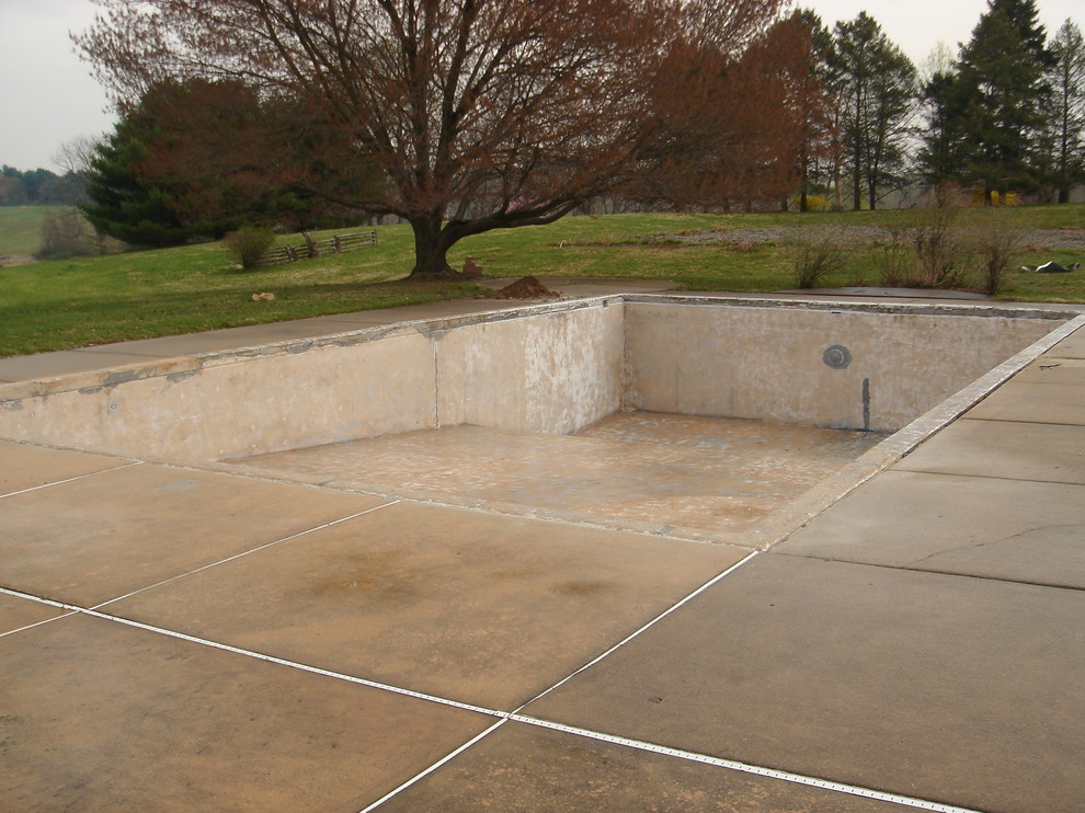Immagine di una grande piscina monocorsia classica rettangolare dietro casa con lastre di cemento