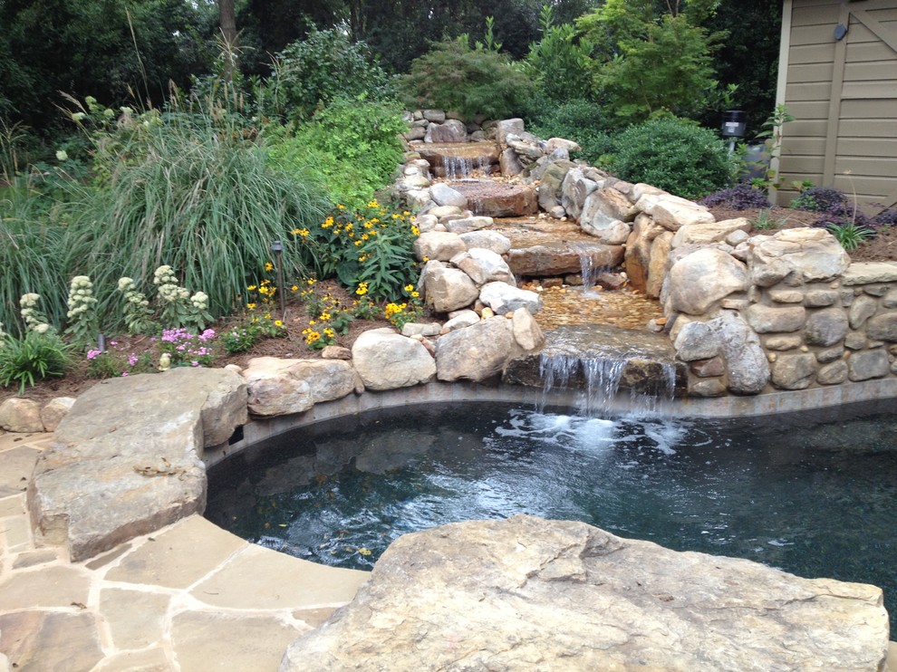 Modelo de piscina natural exótica extra grande en patio trasero