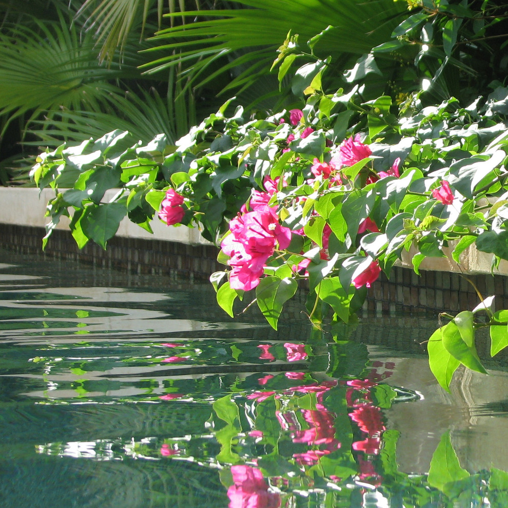 Eklektischer Garten in Miami
