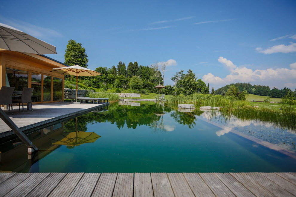Esempio di un'ampia piscina naturale country rettangolare dietro casa con pedane e una dépendance a bordo piscina