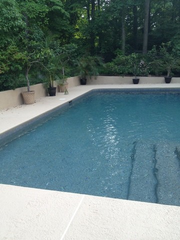 Cette photo montre une piscine naturelle et arrière tendance de taille moyenne et sur mesure avec un point d'eau et du béton estampé.