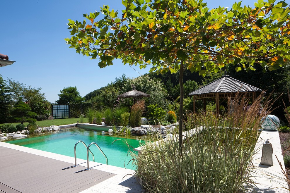 Diseño de piscina natural actual de tamaño medio rectangular en patio trasero con entablado