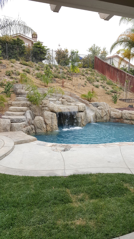 サンディエゴにある高級な中くらいなトロピカルスタイルのおしゃれな裏庭プール (天然石敷き) の写真