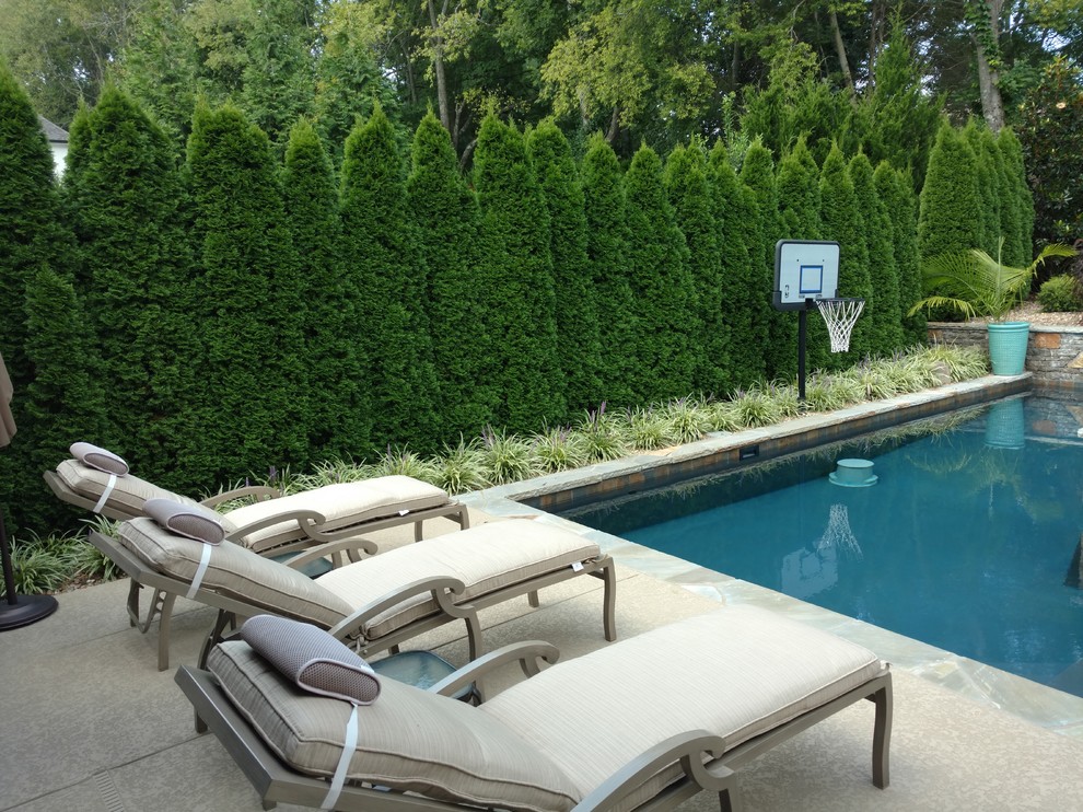 Esempio di una piscina monocorsia classica rettangolare di medie dimensioni e dietro casa con una vasca idromassaggio e cemento stampato