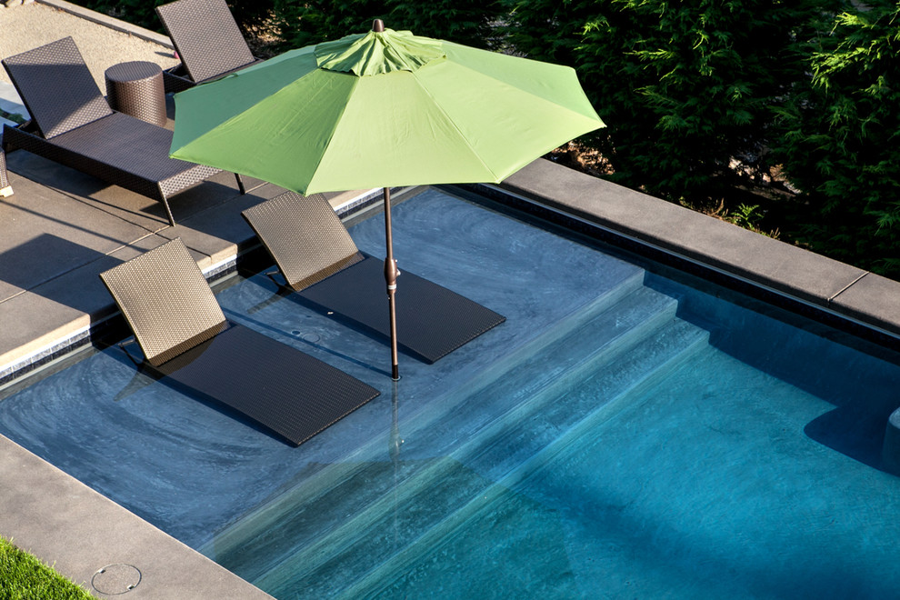 Modelo de piscina actual de tamaño medio rectangular en patio trasero con losas de hormigón