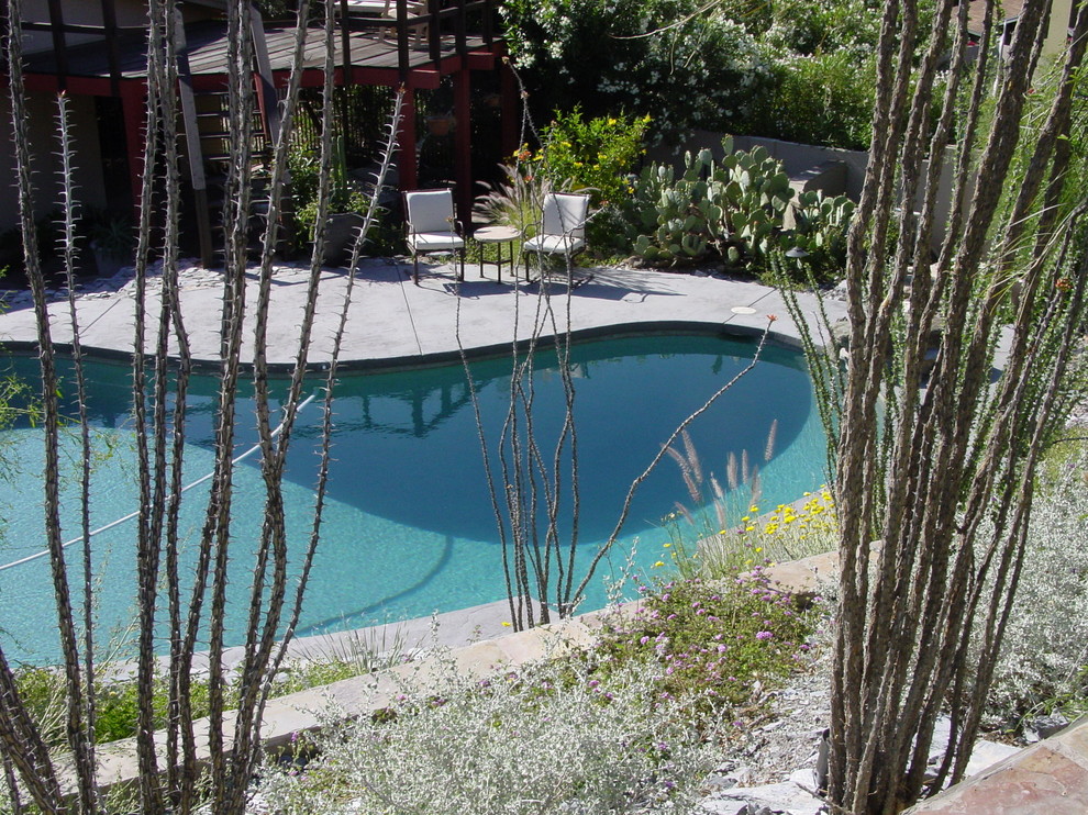 Ejemplo de piscina con fuente actual grande tipo riñón en patio trasero con losas de hormigón