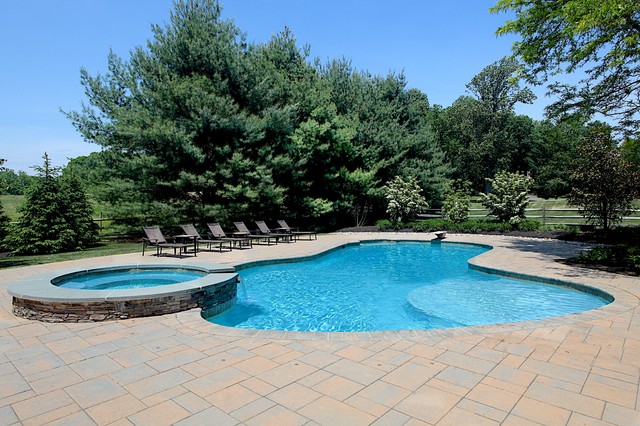 The Relaxation Free Form Pool And Spa Classique Piscine Philadelphie Par Blue Haven Pools