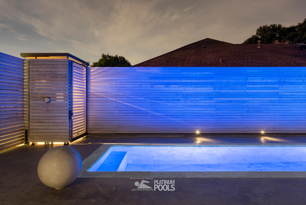 This is an example of a contemporary swimming pool.